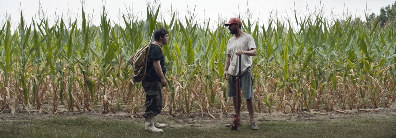 Kurz und knackig: Fünf kurze Filme unter 100 Minuten