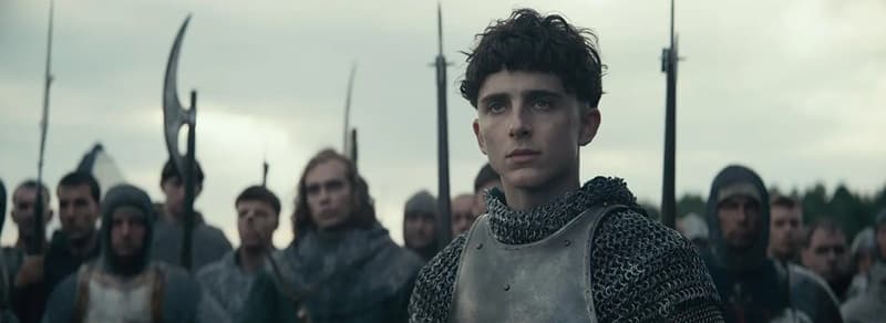 Im Blickpunkt: Timothée Chalamet